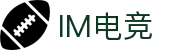 IM(股份有限公司)电竞-电子竞技平台