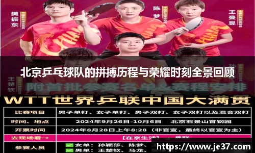 北京乒乓球队的拼搏历程与荣耀时刻全景回顾