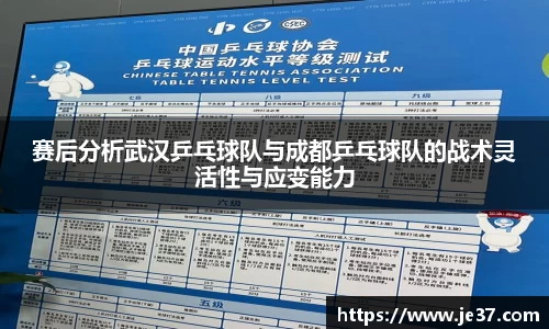 赛后分析武汉乒乓球队与成都乒乓球队的战术灵活性与应变能力